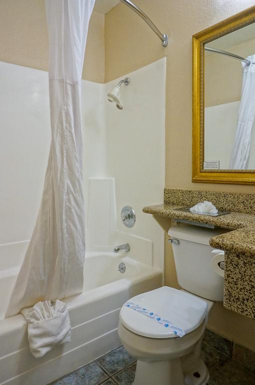 Suite Deluxe con cama extragrande para no fumadores