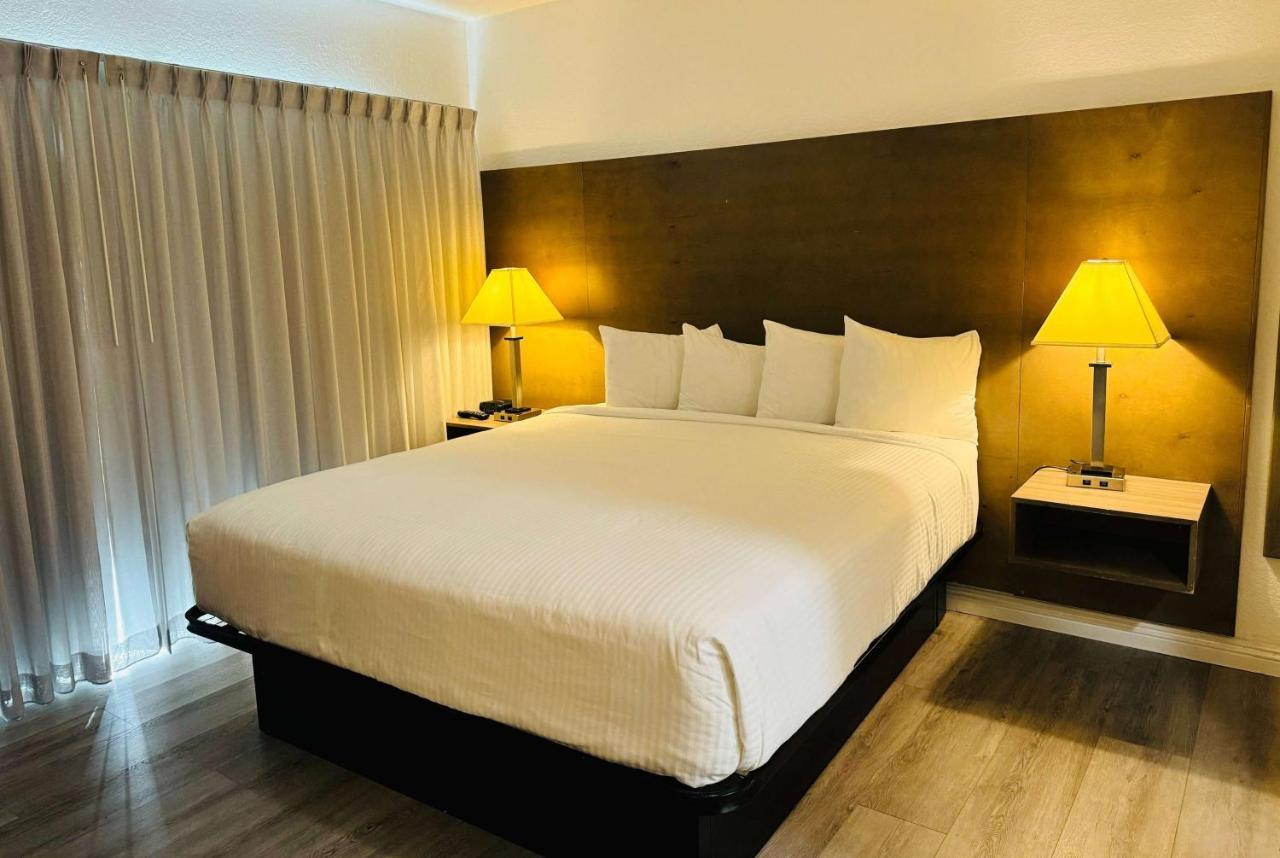 Habitación Doble con cama grande y vistas al puerto (para no fumadores)