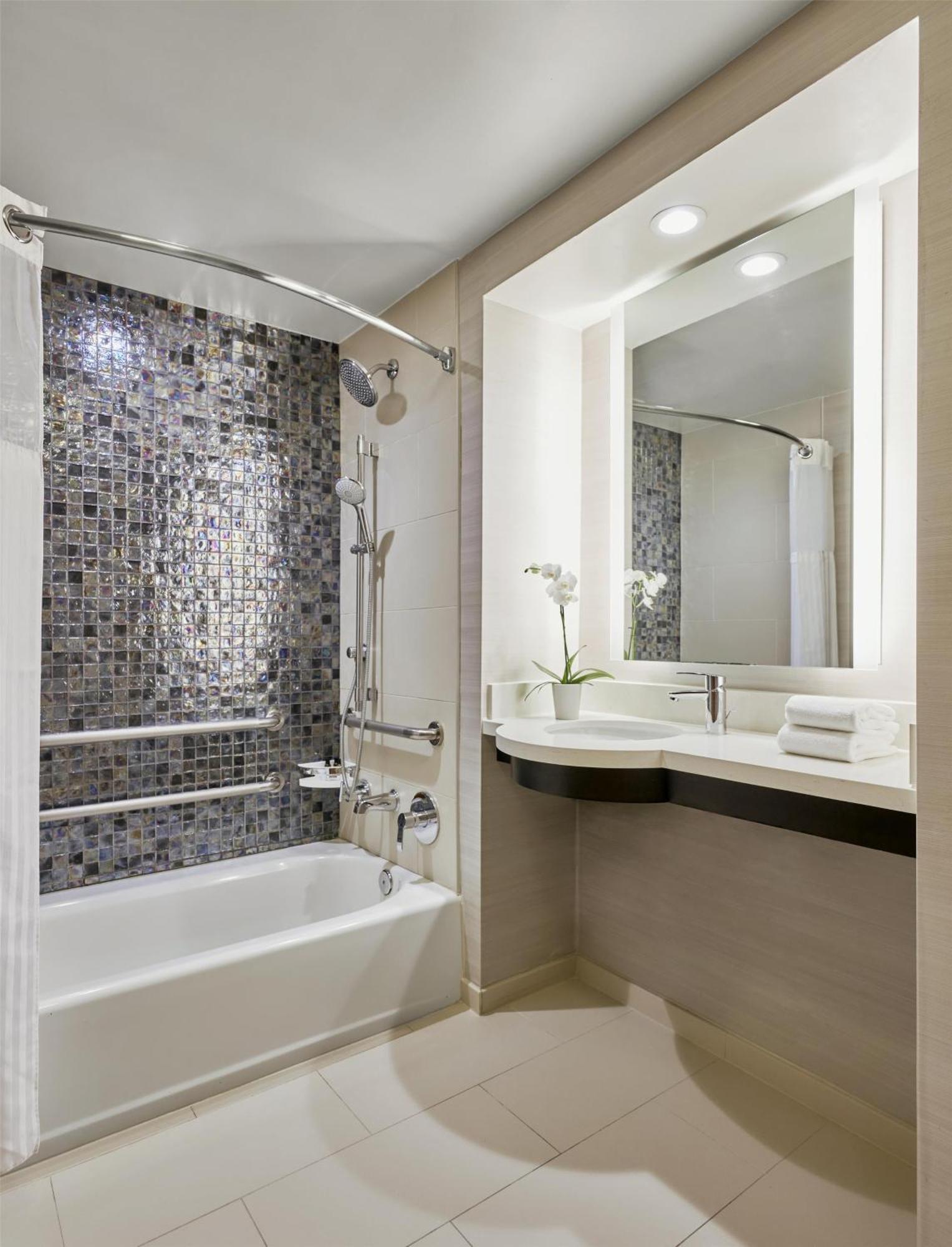 King Room Bath Tub Mobility Accessible