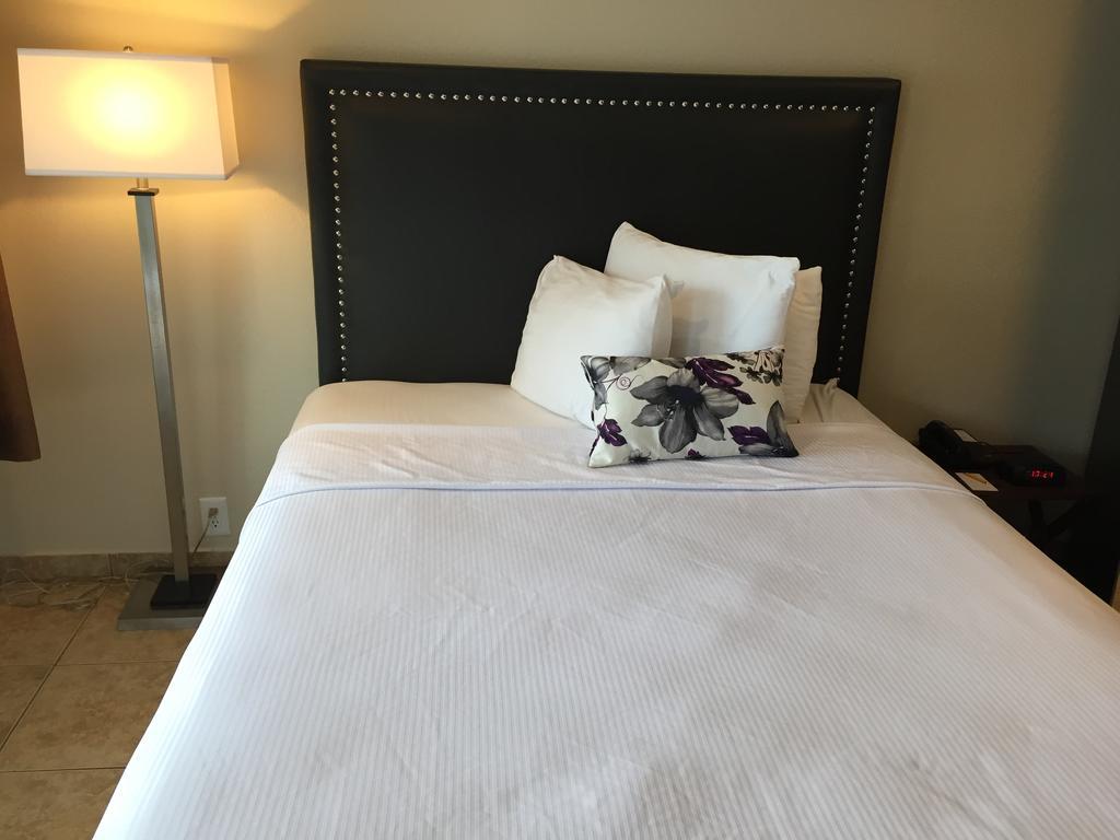 Studio met Queensize Bed en Keuken- Rookvrij