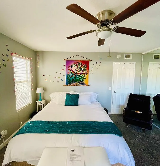 Pacific Beach Butterfly Suite-1