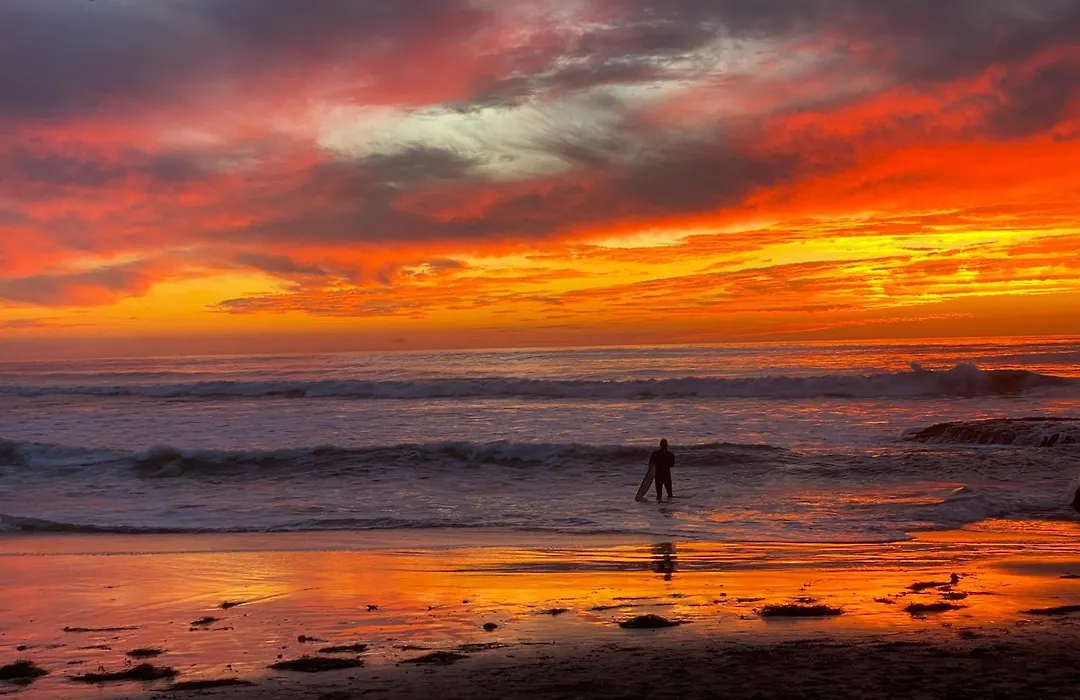 Modern Luxury 2Br Apt In Heart Of Ocean Beach-1
