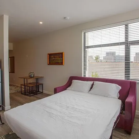 One Bedroom Apartment With San Diego Downtown View-3