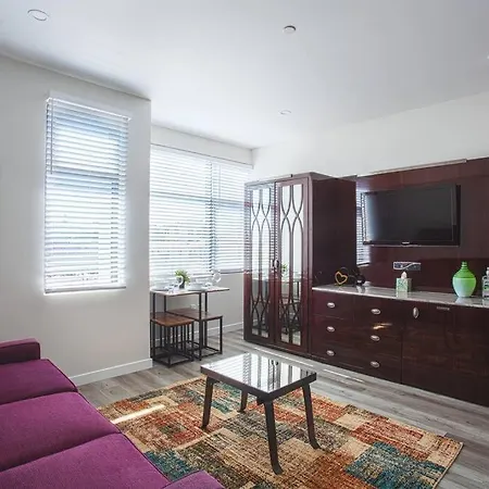 Spacious 1 Bedroom Apartment In Balboa Park-3