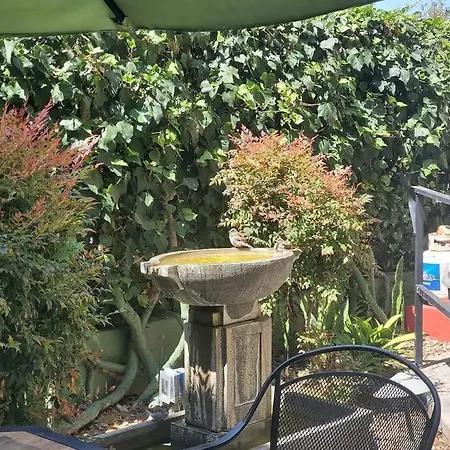Hidden Gem Of San Diego Gaslamp With Kitchenette And Pet Friendly! Close To Everything!-3