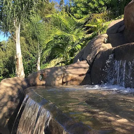 Amazing Family Vacation Home With Back Yard Oasis & Heated Saltwater Pool!-3