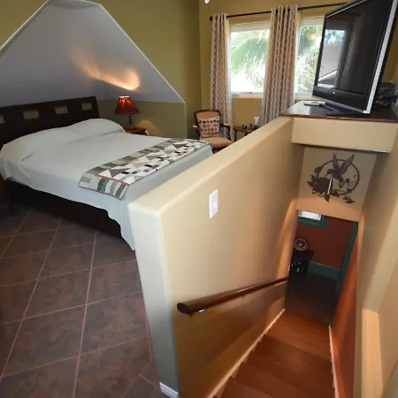 Adamsnoeve Studio Guesthouse-3