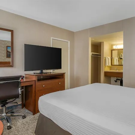 Best Western Seven Seas-3