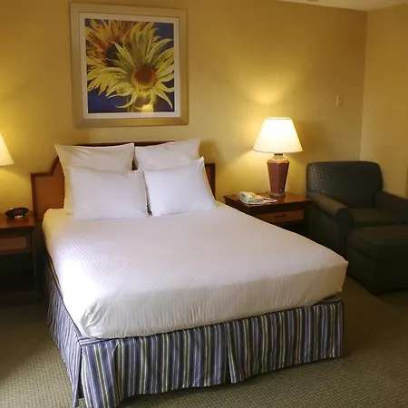 Sommerset Suites Hotel-3